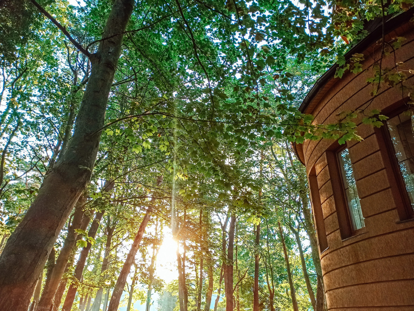 Вилла Гретта