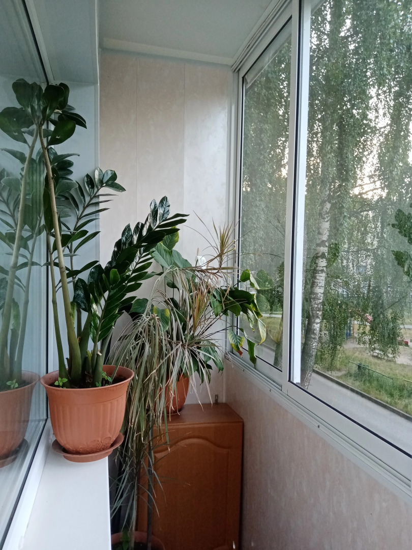 Квартира Гоголя 10