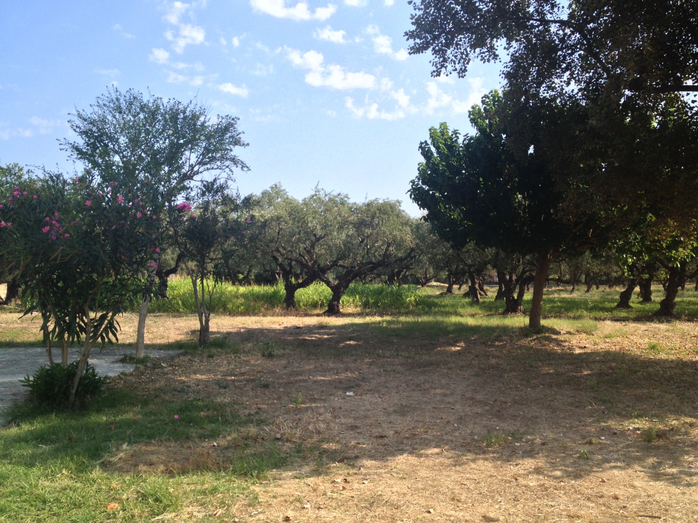 Гостевой Дом Villa Rania Zante Drosia