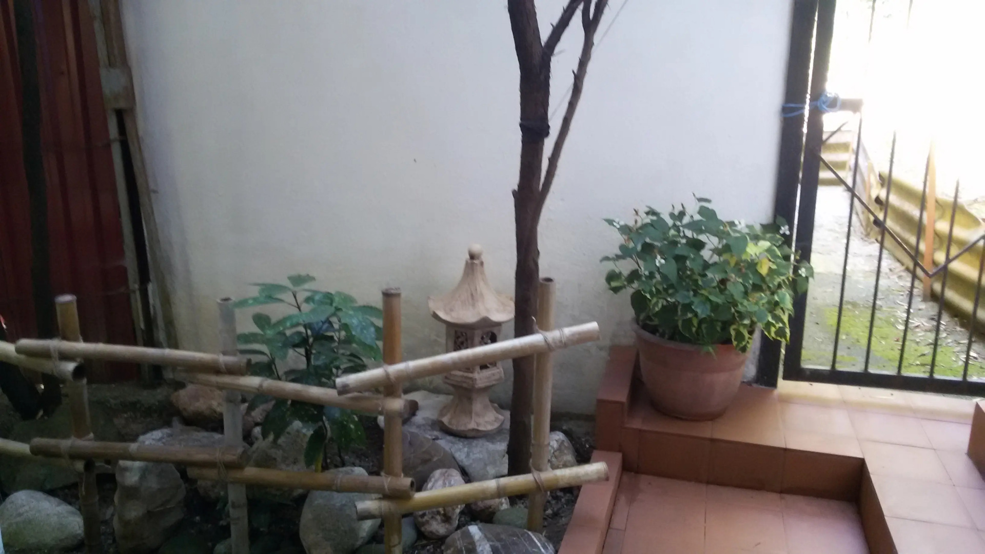 Гостевой дом Эвкалипт