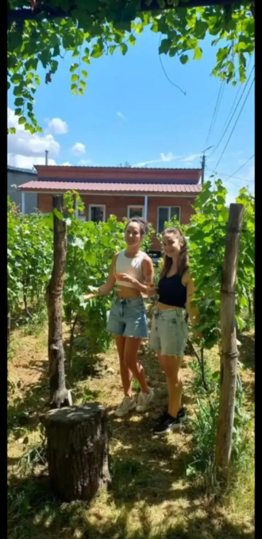 Гостевой дом Погреб дедушки Гиго