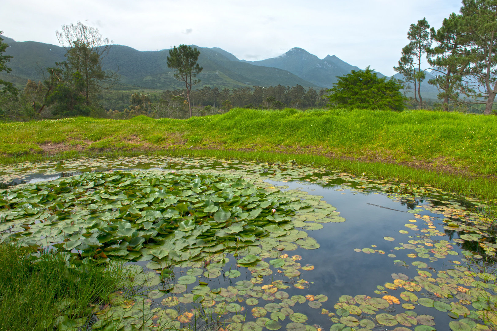 Гостевой Дом ArendsRus Counrty Lodge