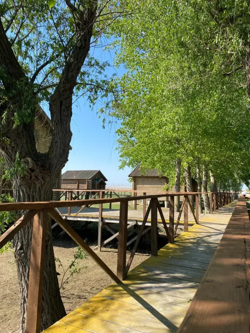 База отдыха Грэй Гуз