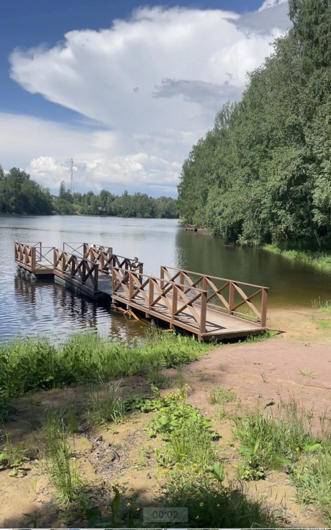 Частный дом в Токсово Озеро парк