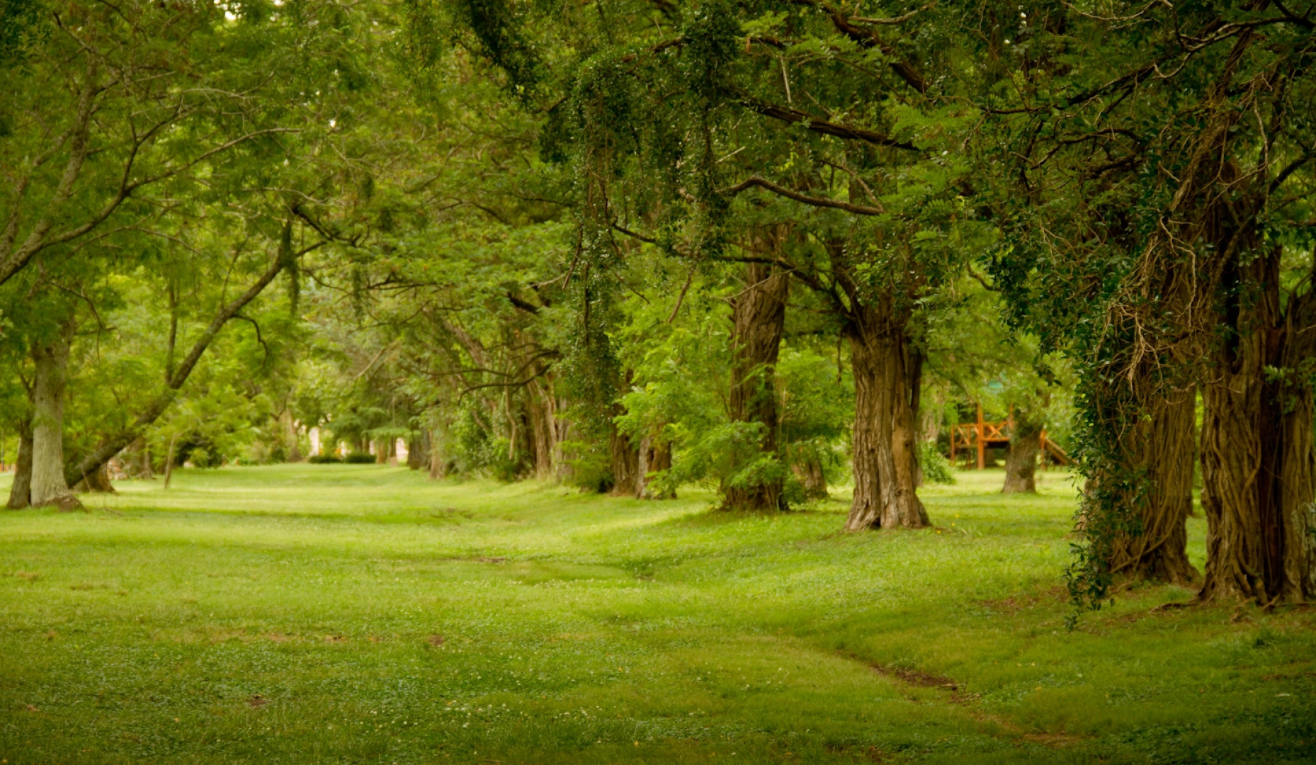 Отель Estancia Monte Viejo