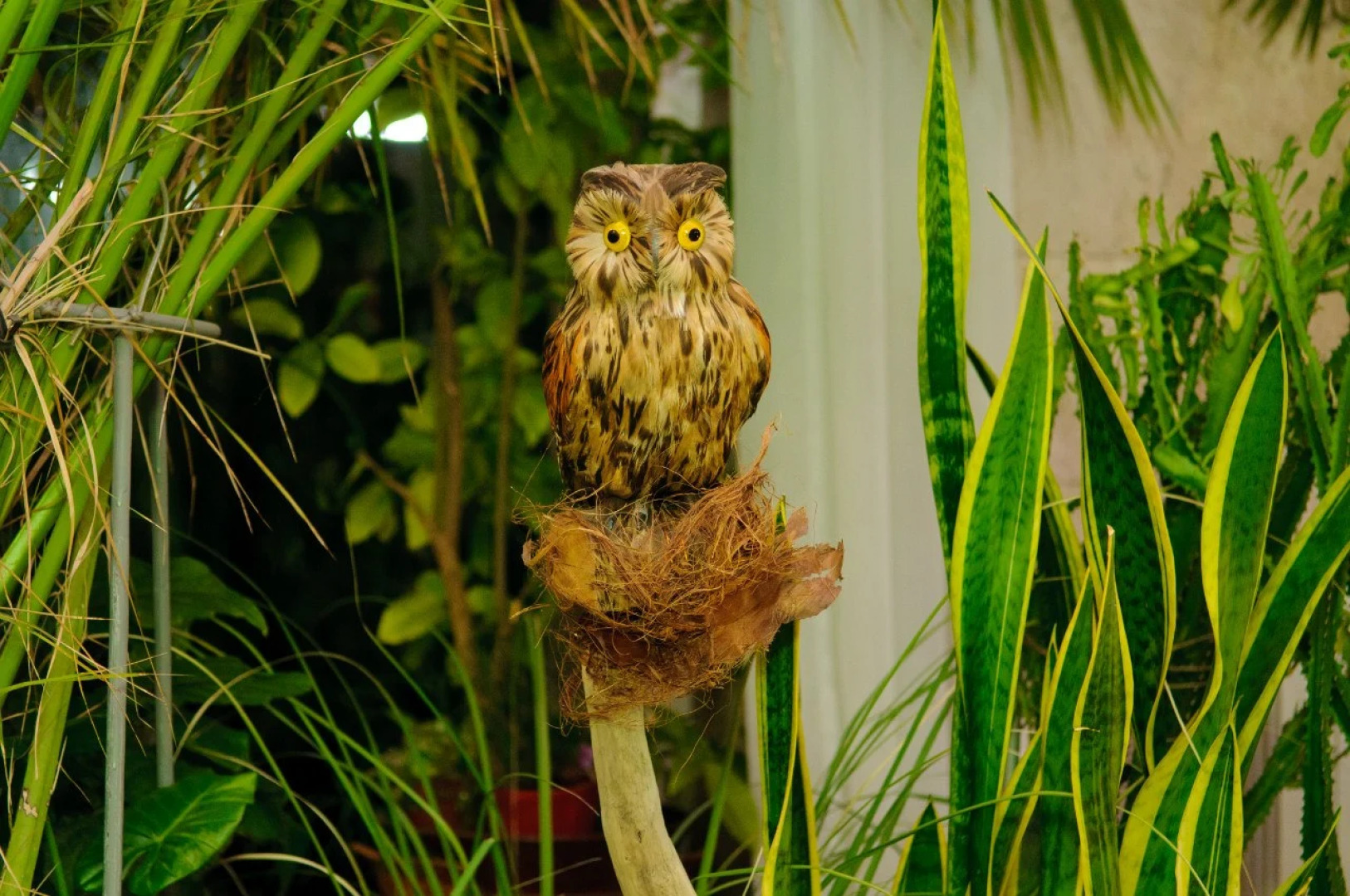 Гостинично-Ресторанный Комплекс Берег