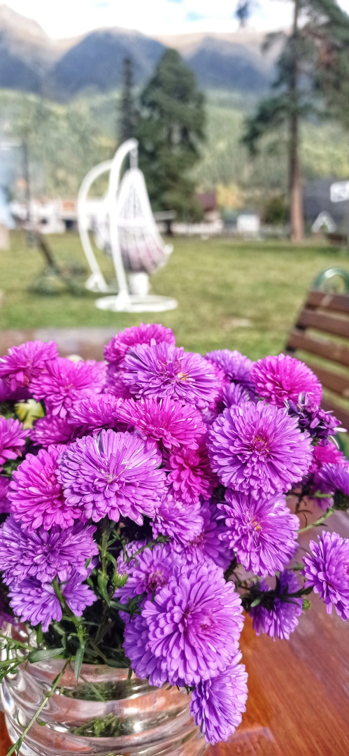 Гостевой Дом Solaris