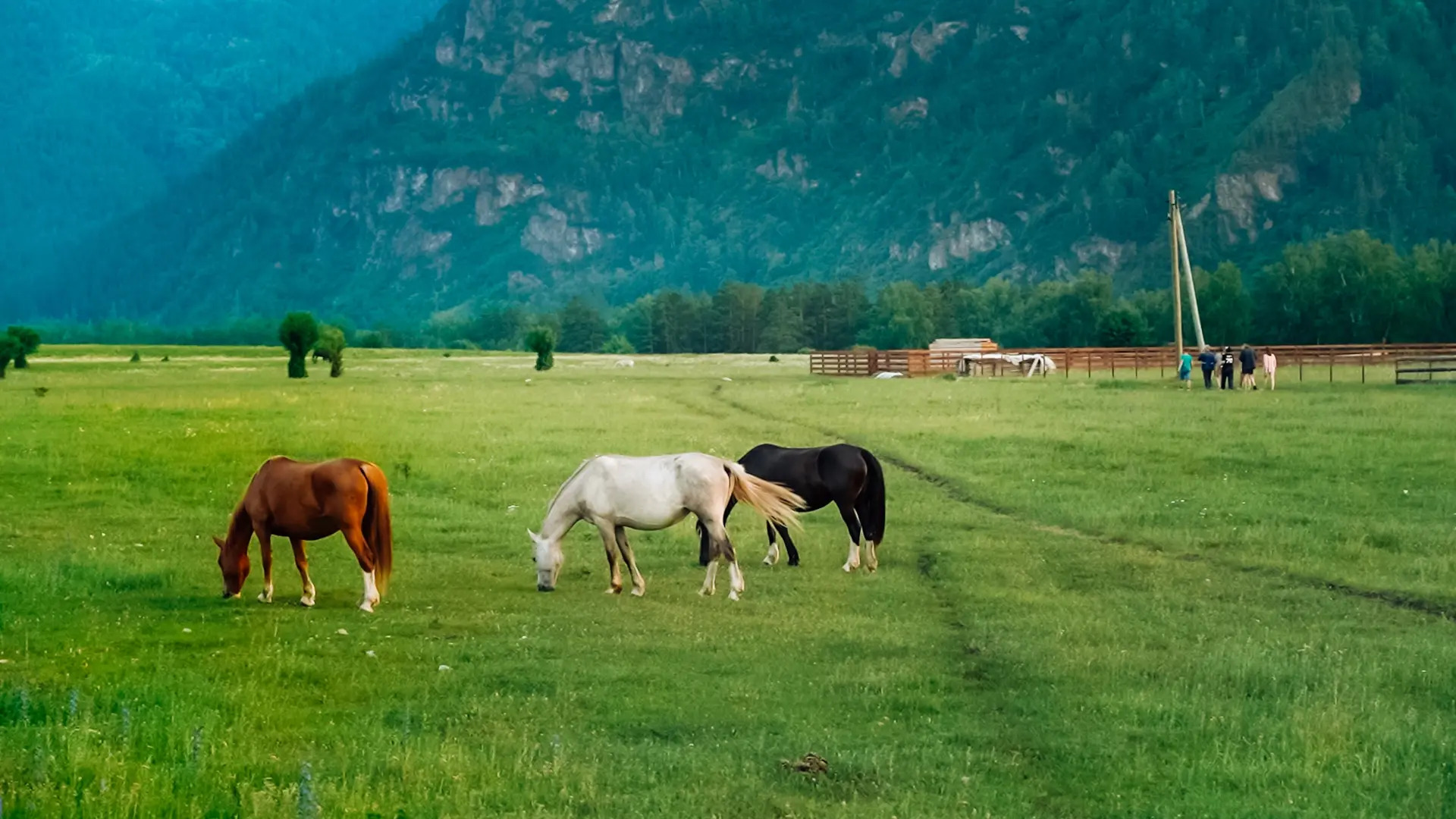Глэмпинг Небо