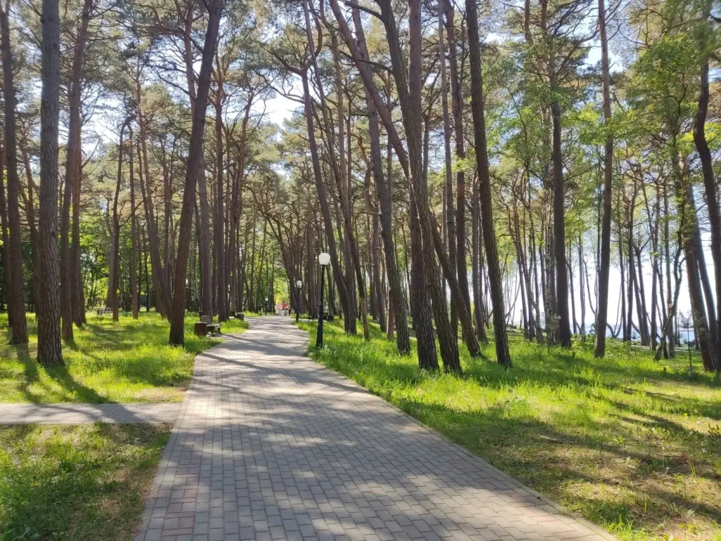 Апартаменты Greenwill