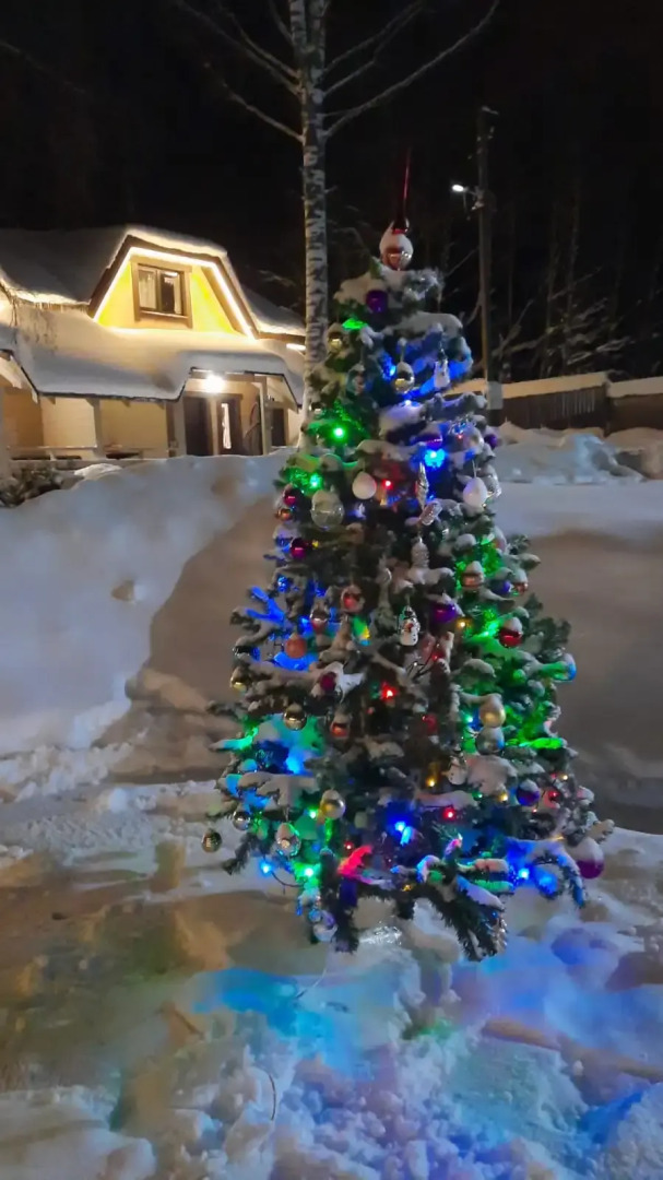 Частный дом на горке в Коробицыно