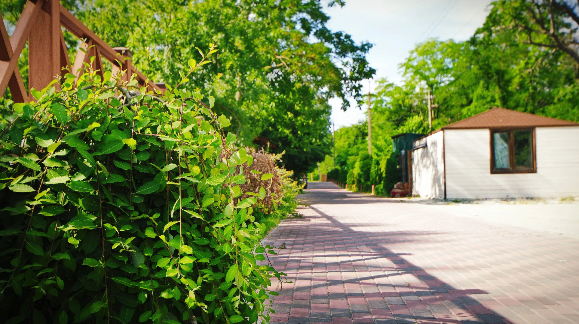 Парк-Отель Поляна