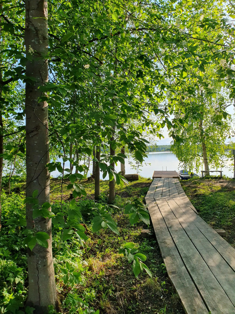 Коттедж Онегин