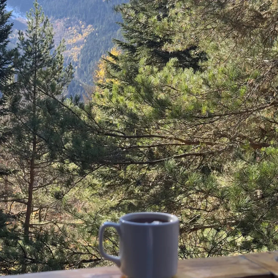 База отдыха Гринвальд 1474