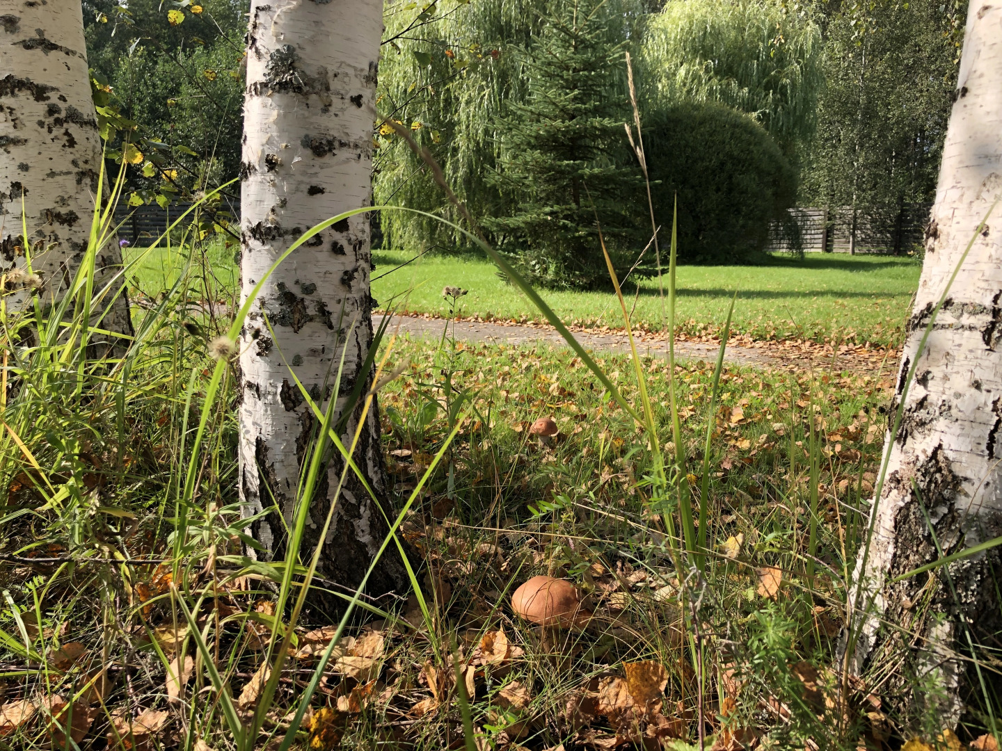 Гостевой Дом с Клёвой Рыбалкой в Своём Пруду, Около Реки