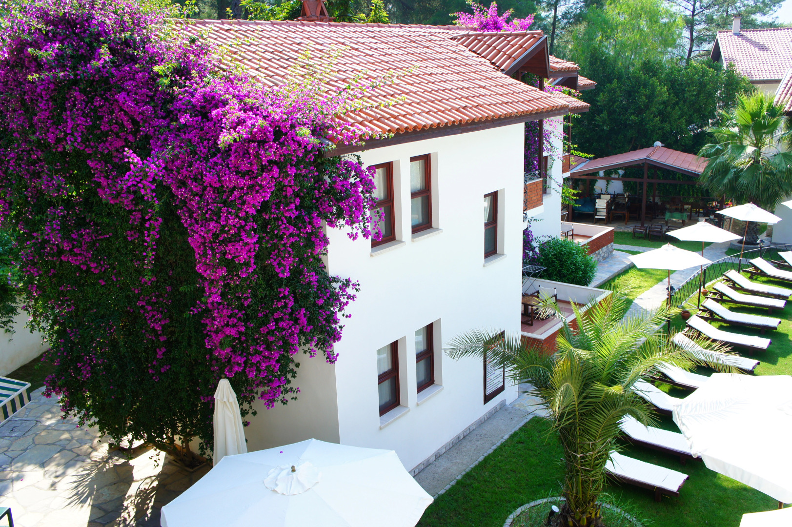 Отель Forest Gate