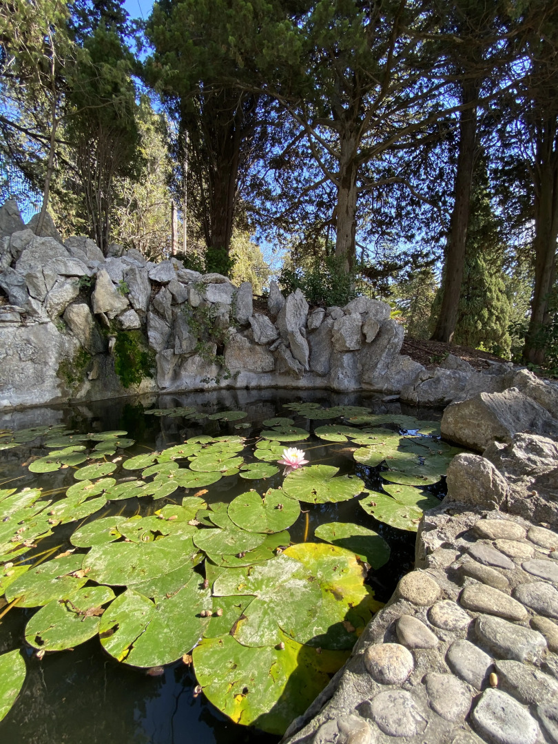 Санаторий Дюльбер