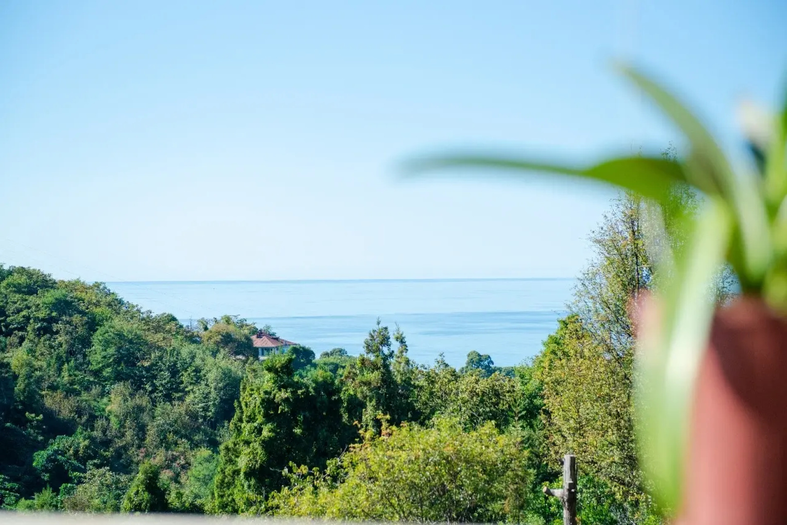 Частный дом TreeHouse GoldenSeaView TreeHouse