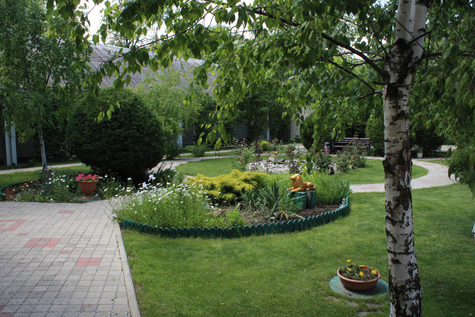 Отель Золотой Лев