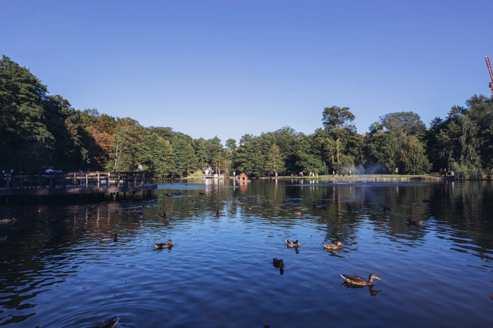 Квартира Однокомнатная в Центре Зеленоградска до Моря 400 Метров