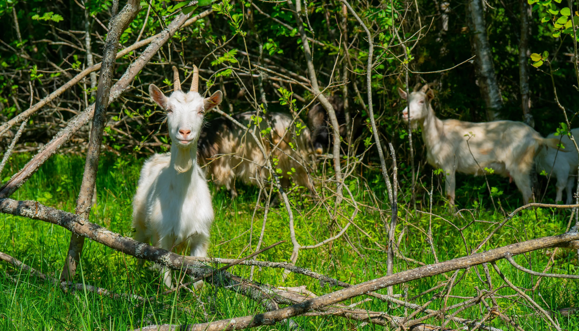 База отдыха Рыбацкая деревня