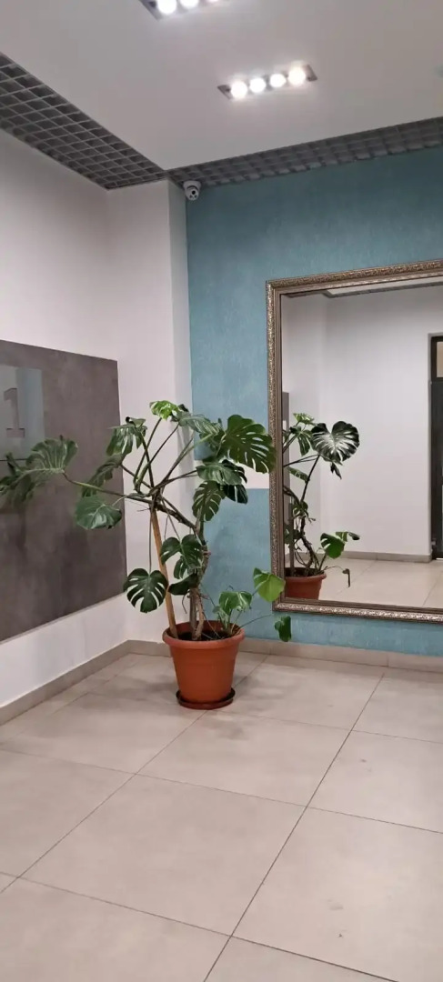 Квартира Премиум Романовъ 5*