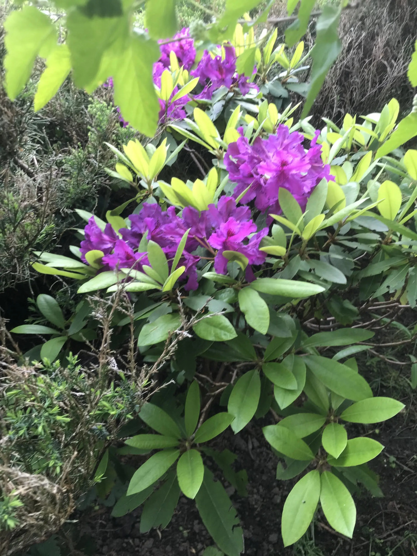 Гостевой дом Морское