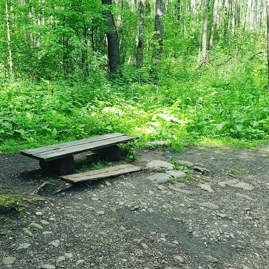 Гостевой дом Агроусадьба у Сан Саныча