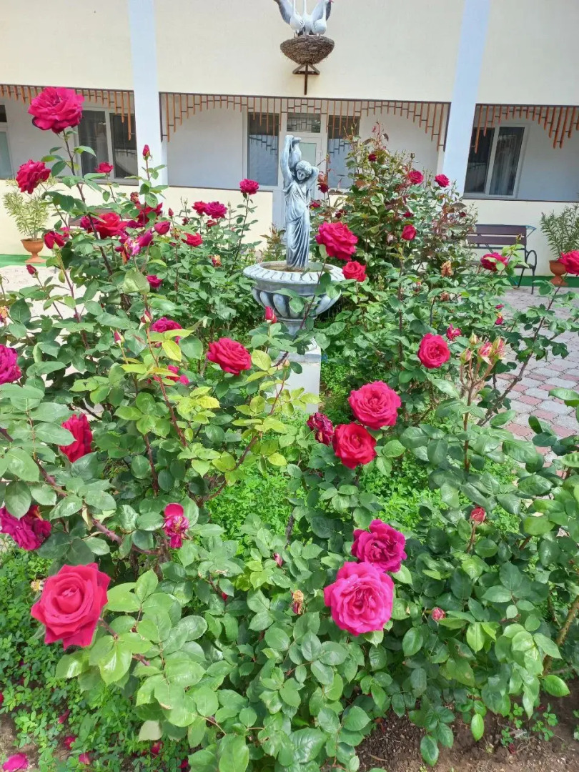 Мини-отель Якорь