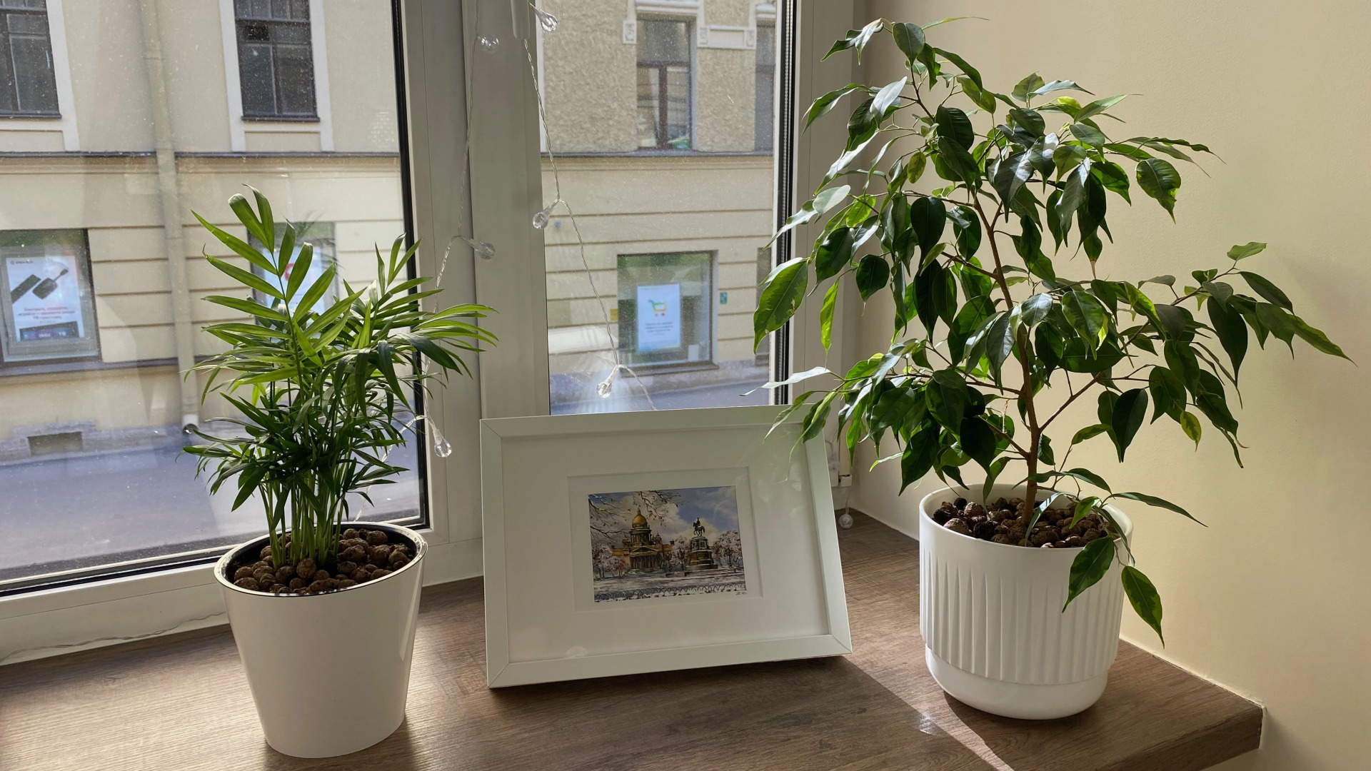 Квартира Уютная двухуровневая студия на Петроградке