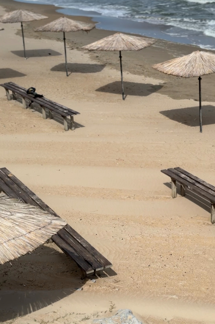 Отель Фламинго