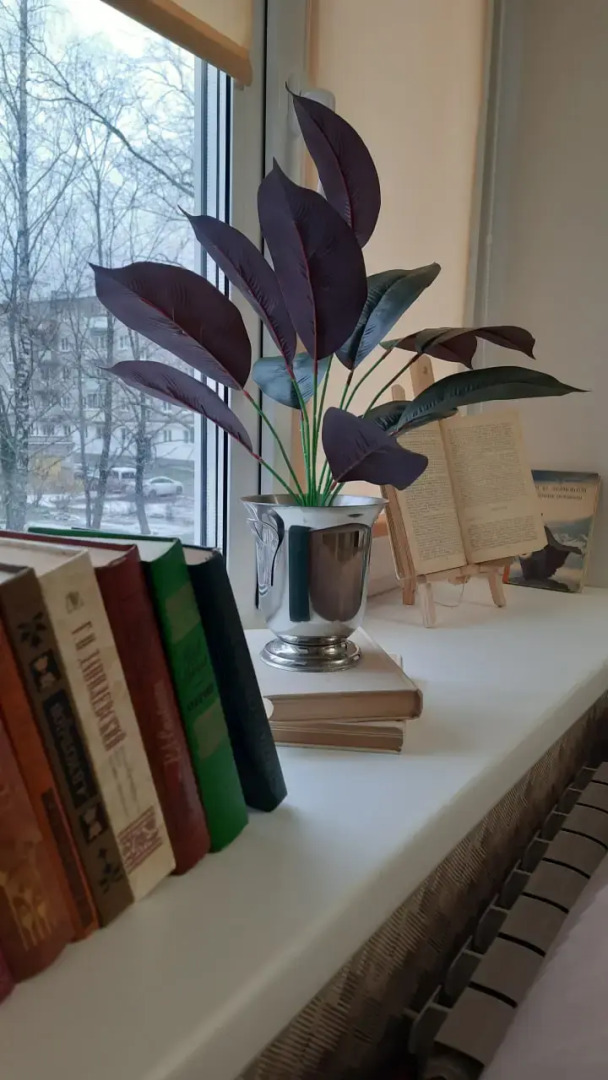 Квартира на набережной Александра Невского