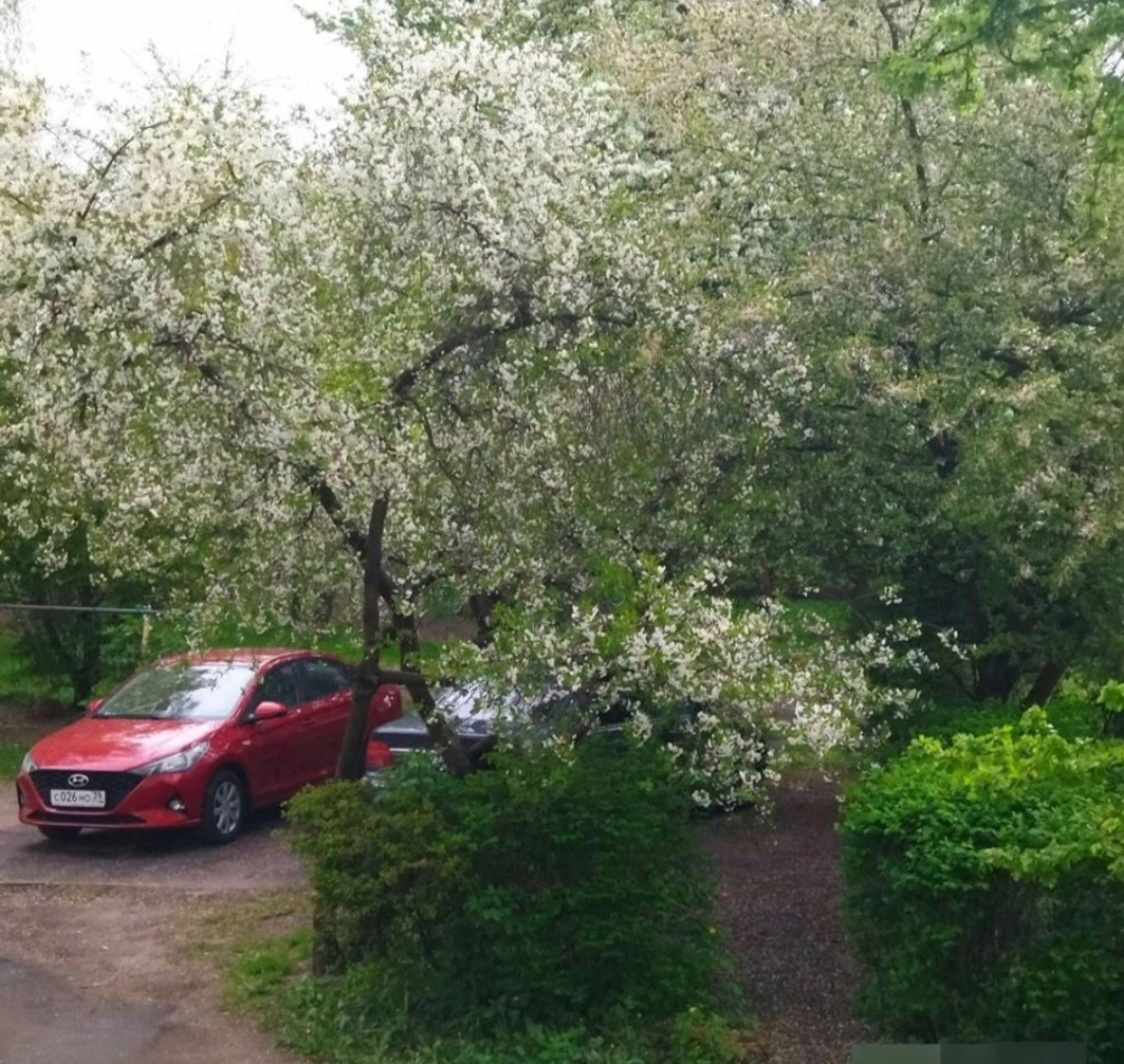 Апартаменты Розовый Фламинго