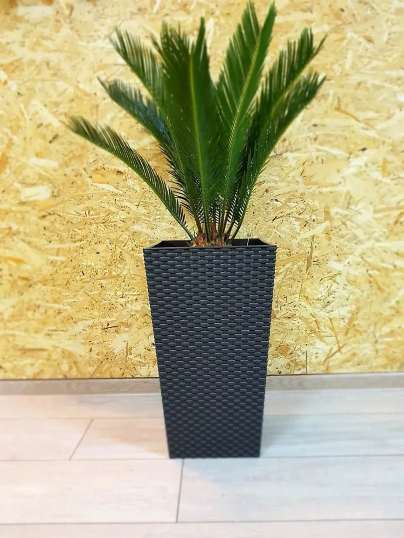 Жилое помещение МосХостел