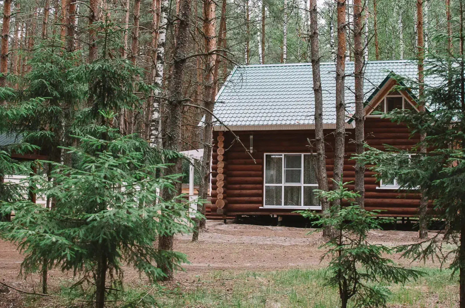 Частный дом в лесу у реки Пра на первой береговой линии
