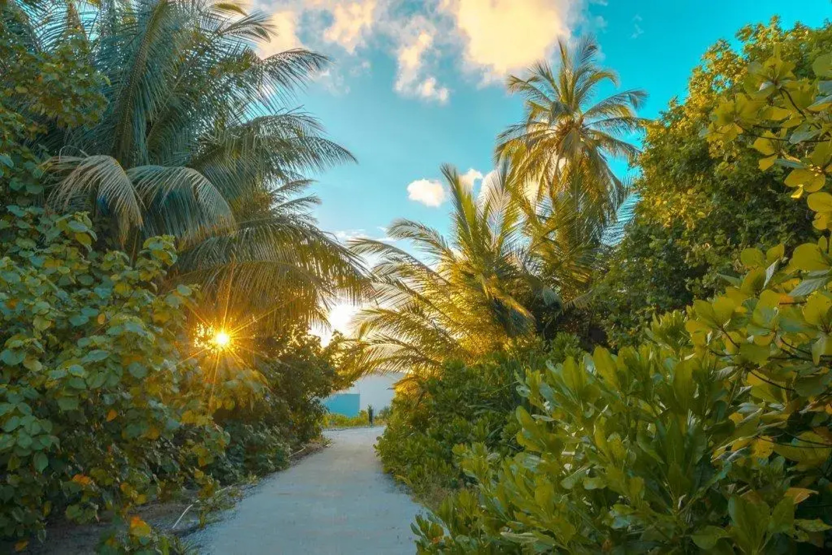 Курортный Отель Rahaa Resort