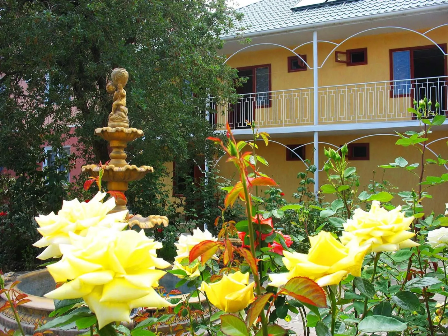 Курортный отель Орхидея