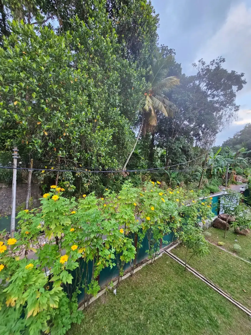 Вилла Seagulls Garden Hikkaduwa