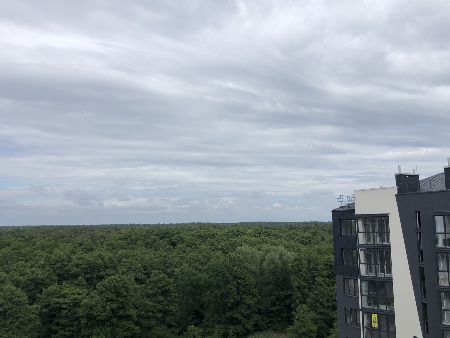 Апартаменты Квартира у моря с видом на Куршскую косу