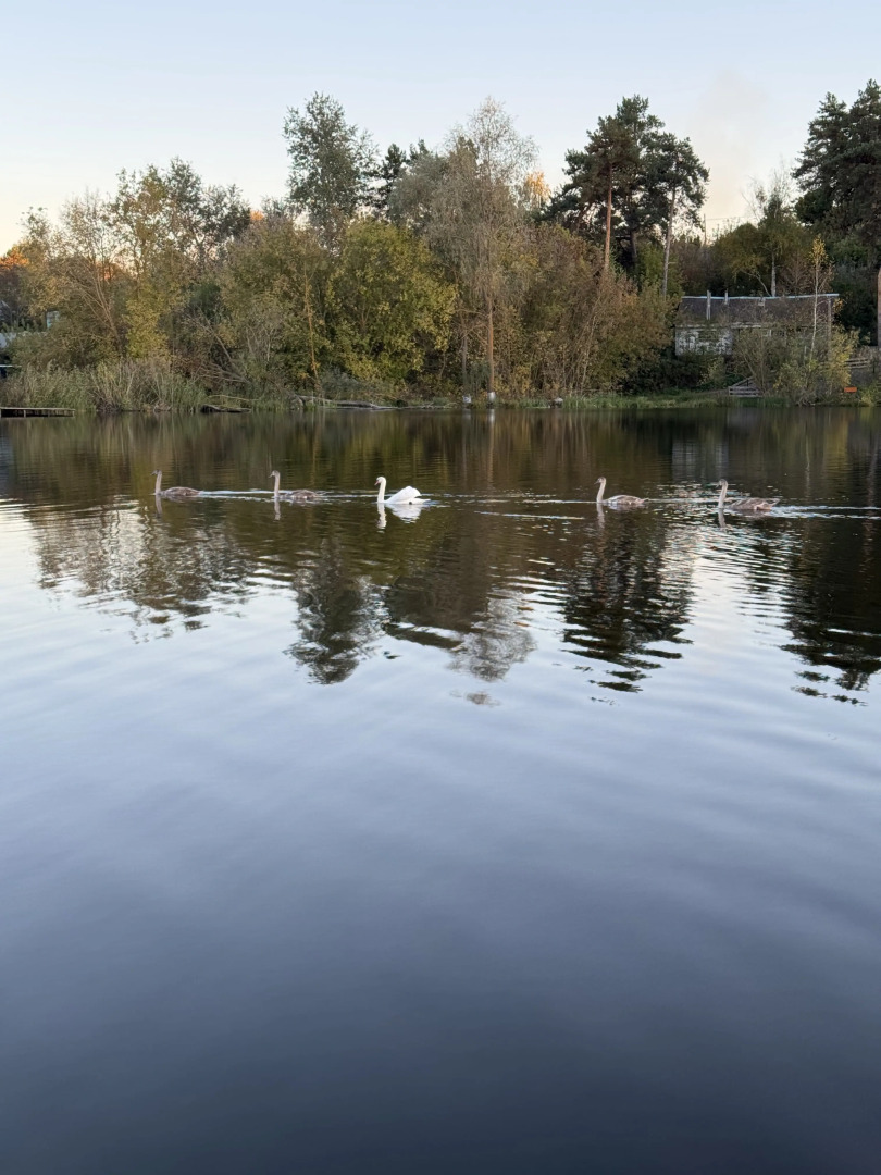 Частный дом уютный домик рядом озеро и сосновый бор