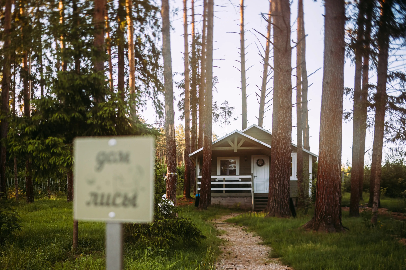 Отель Ефимов Бор