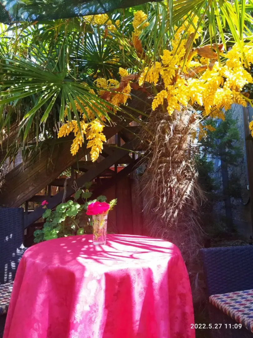 Частный дом Арт дача Панаехало