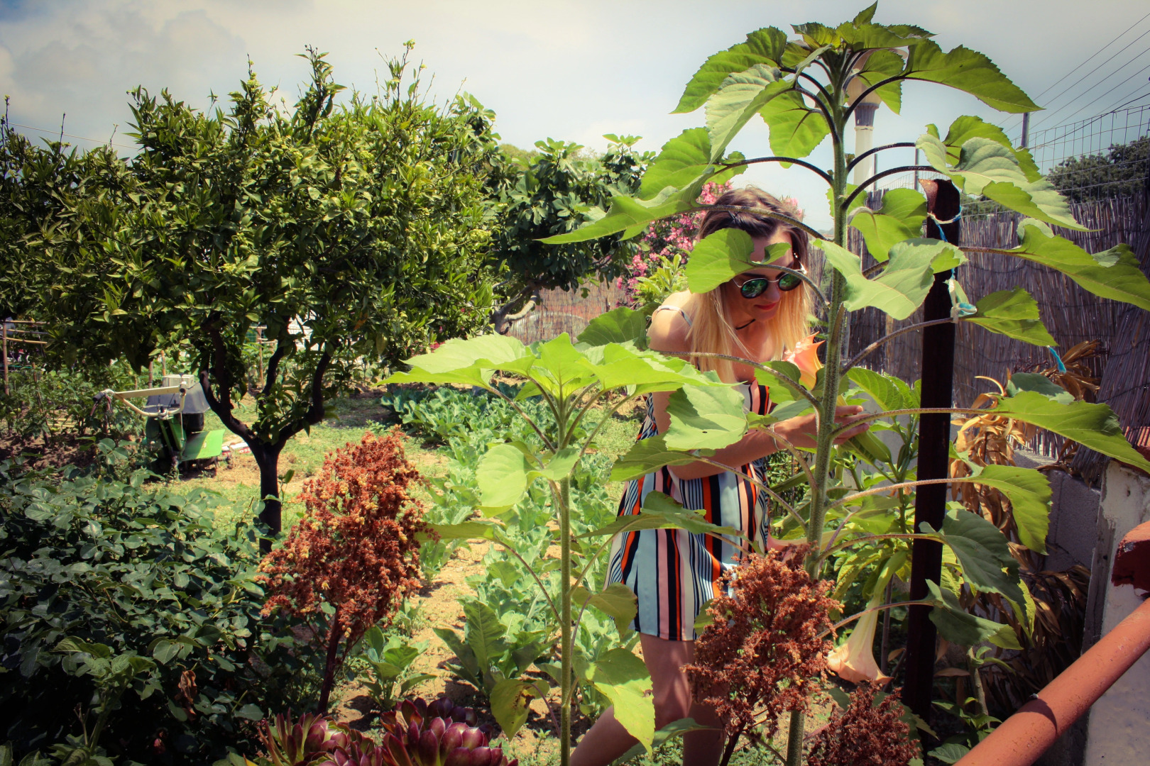 Гостевой дом AlGreco