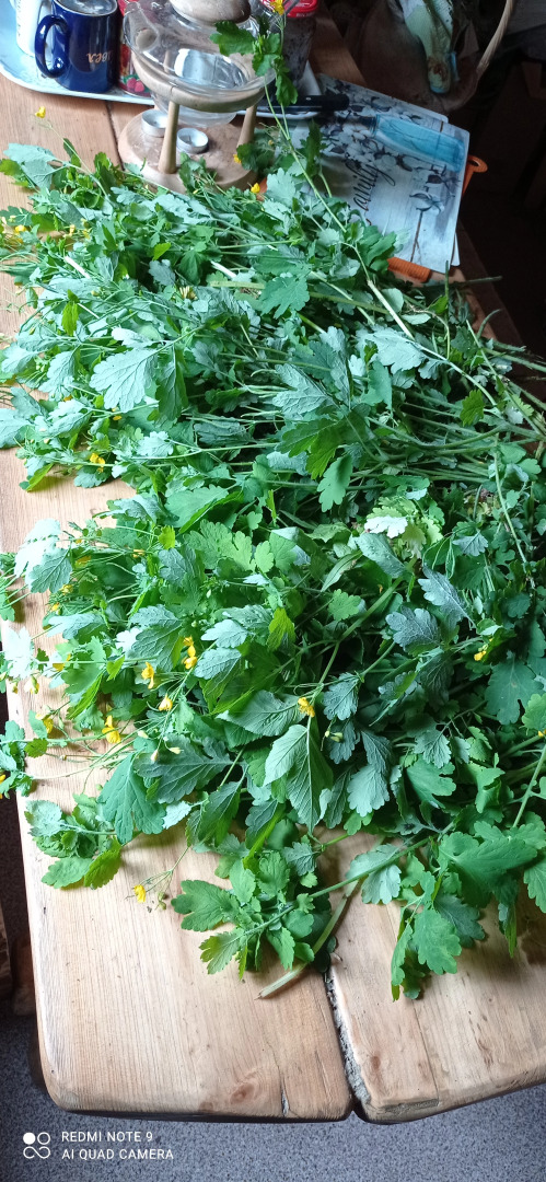 Отель Дом солнца