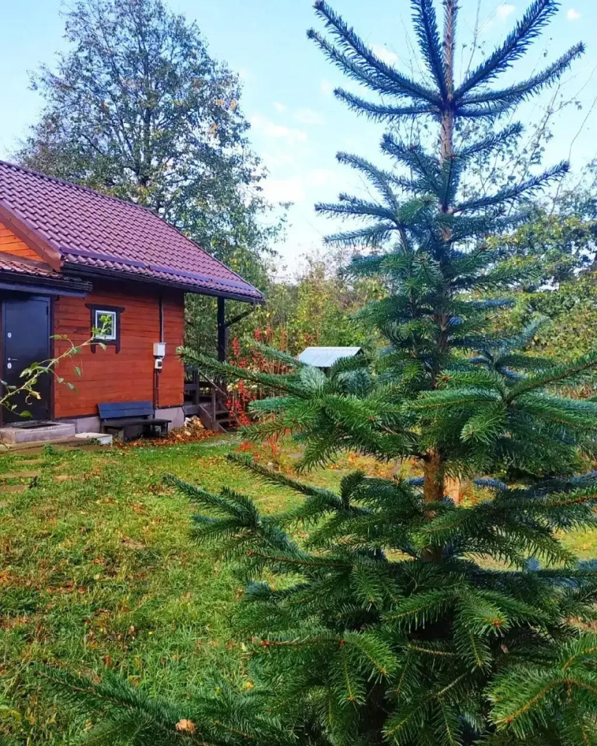 Шале Дрозды