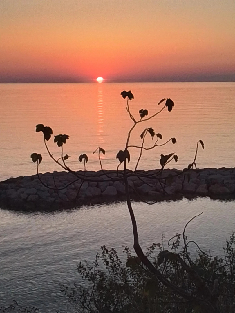 Частный дом Gerze Beyaz Yalı Tatil Evi