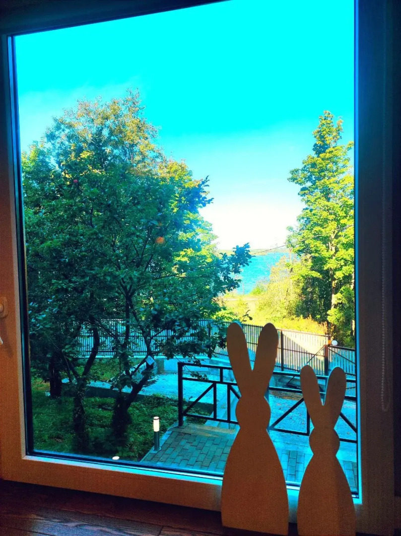 Частный дом Токсовохауз