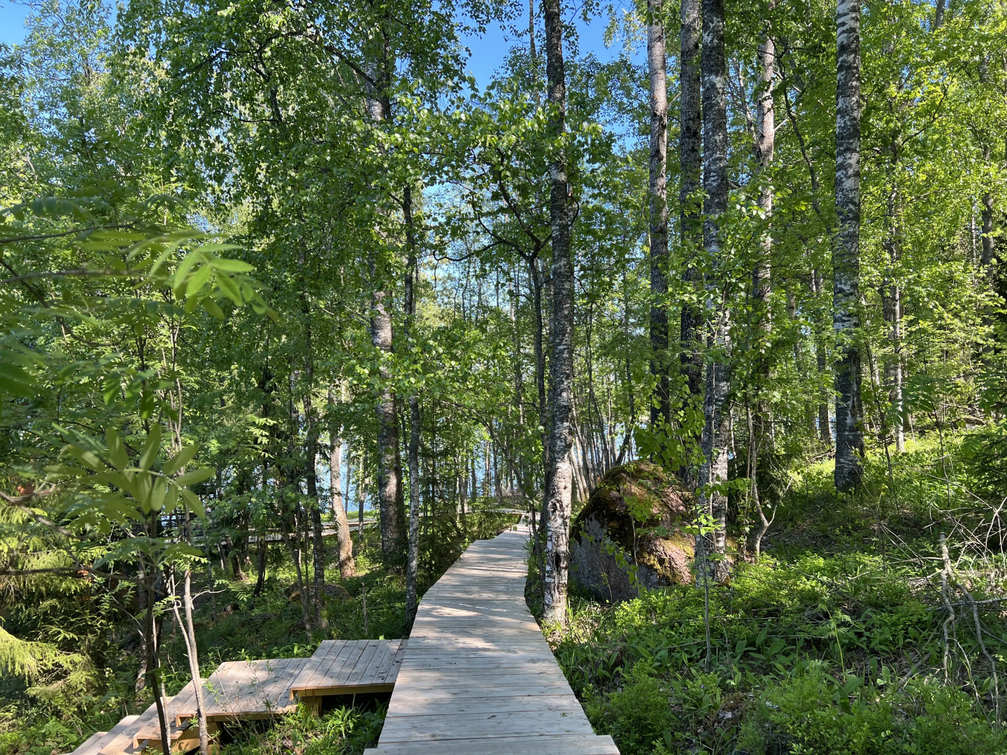 Мини-отель Эко хутор «Избушки на Опушке»