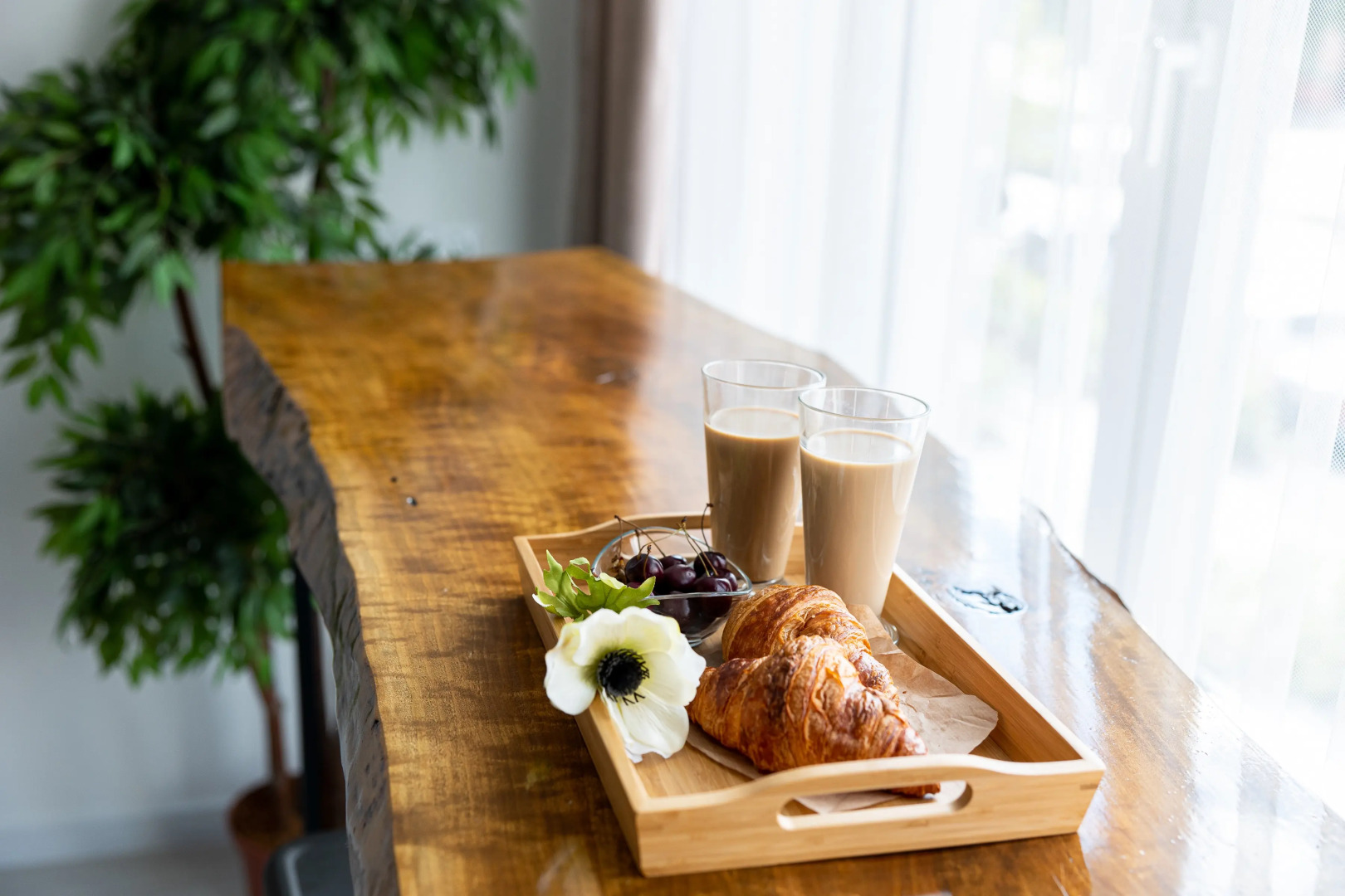 Апартаменты Room Tour Студия в ЖК Новин Квартал