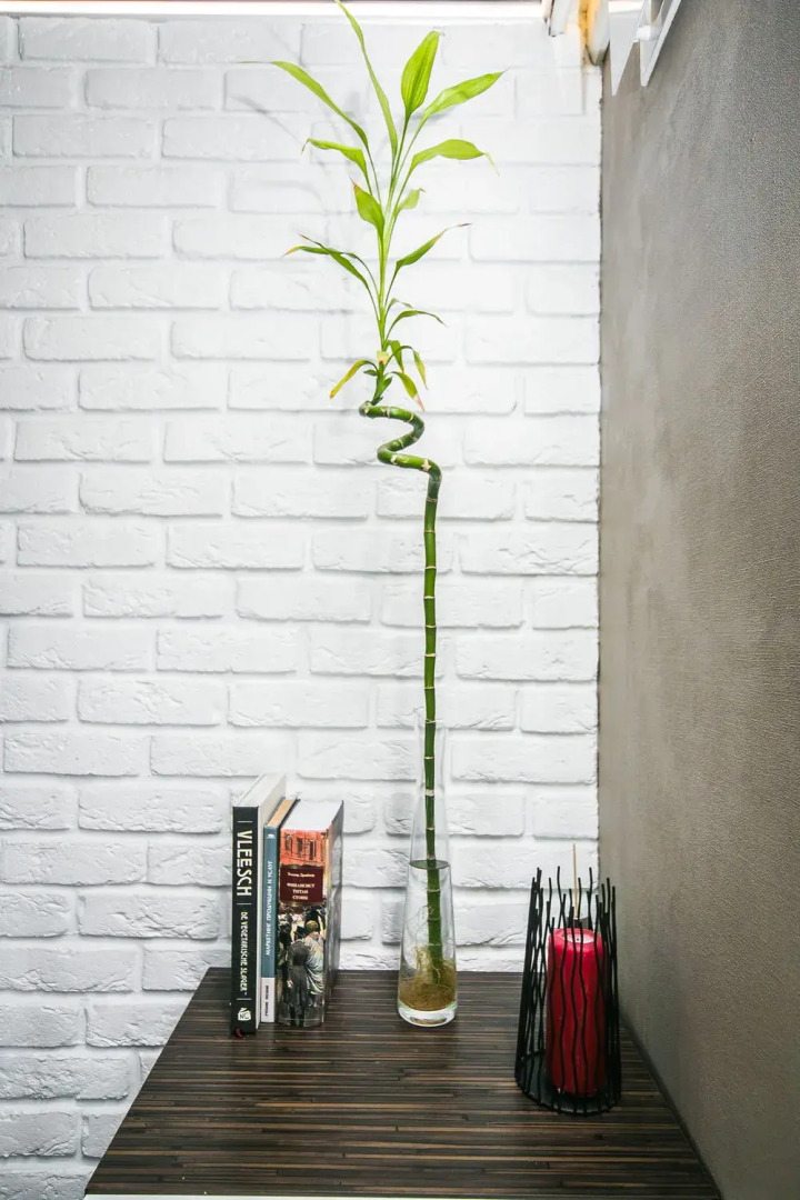 Квартира на улице Чкалова 4