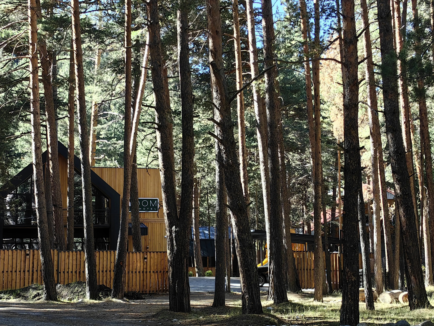 Гостевой дом  Dom